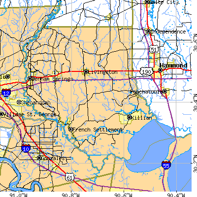 Livingston Parish close-up map