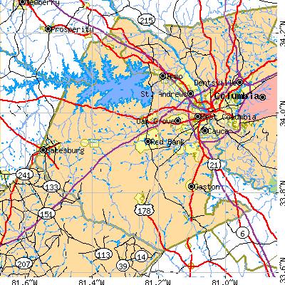 Lexington County close-up map