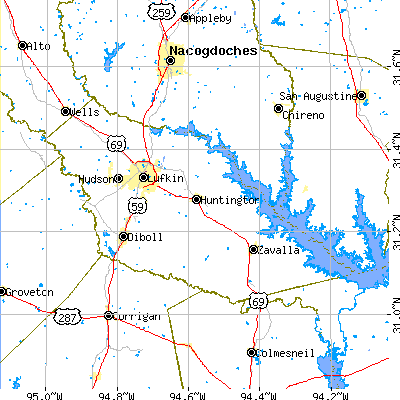 Angelina County close-up map