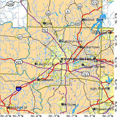 Forsyth County close-up map