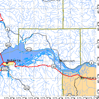 Wahkiakum County close-up map