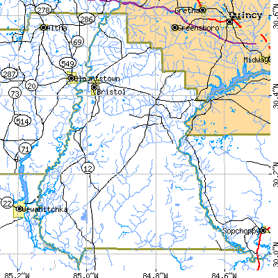 Liberty County close-up map