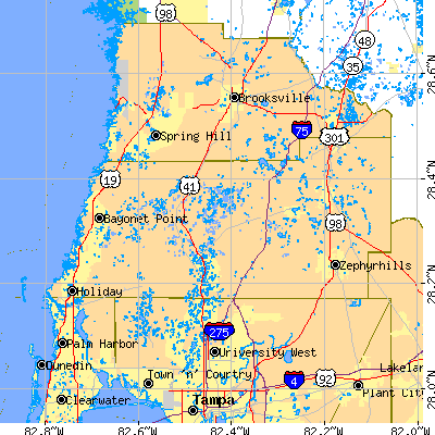 Pasco County close-up map