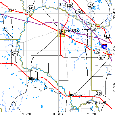 Suwannee County close-up map