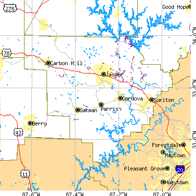 Walker County close-up map