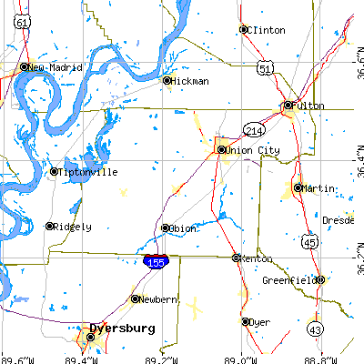 Obion County close-up map