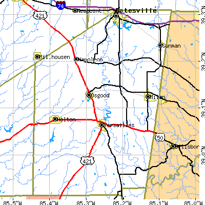 Ripley County close-up map