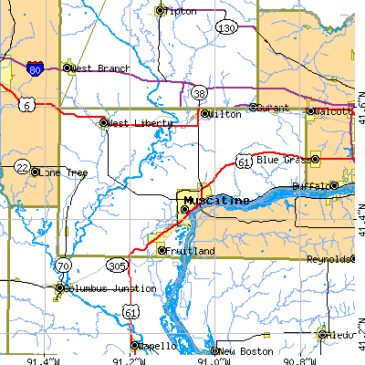 Muscatine County close-up map