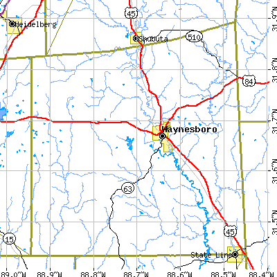 Wayne County close-up map