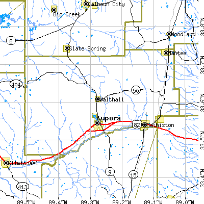 Webster County close-up map