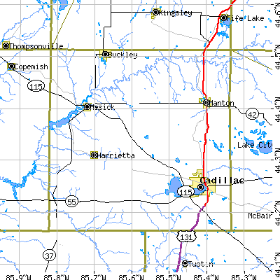 Wexford County close-up map