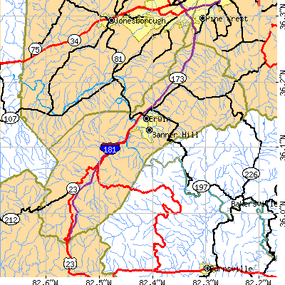 Unicoi County close-up map