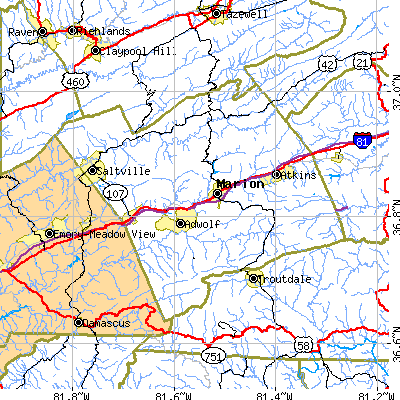 Smyth County close-up map