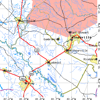 Long County close-up map
