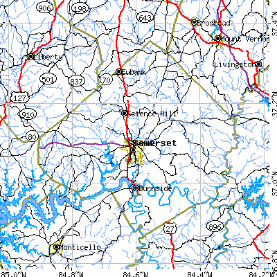 Pulaski County close-up map