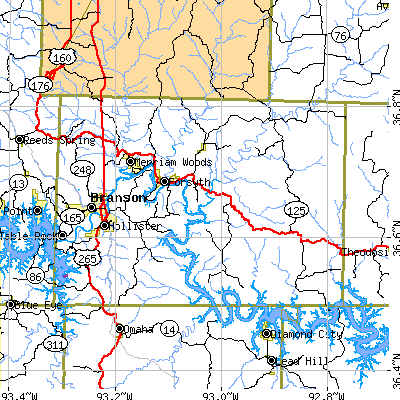 Taney County close-up map