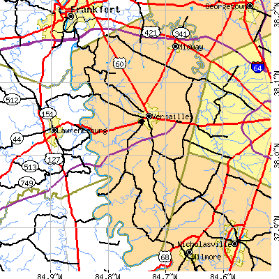 Woodford County close-up map
