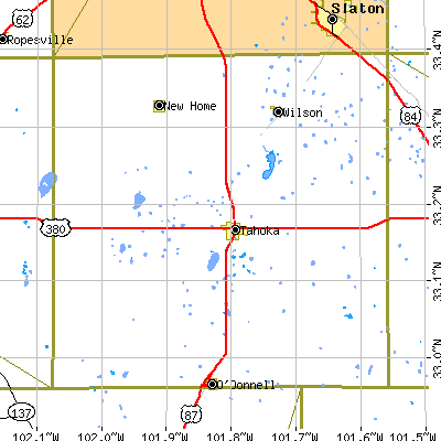 Lynn County close-up map