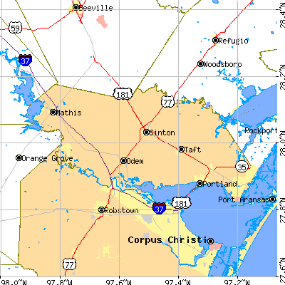 San Patricio County close-up map