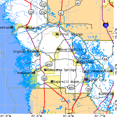 Citrus County close-up map