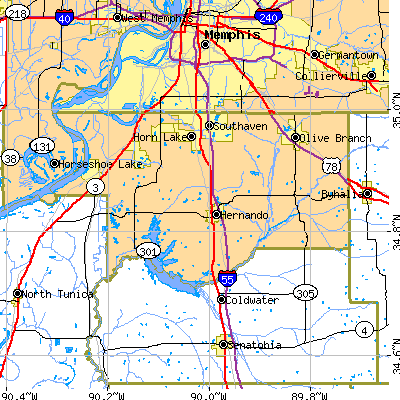 DeSoto County close-up map