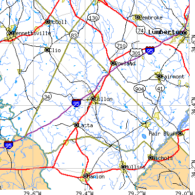 Dillon County close-up map