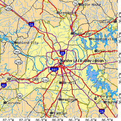 Davidson County close-up map