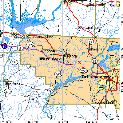 Gadsden County close-up map