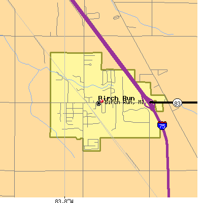 Birch Run map
