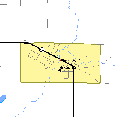 Mecosta map