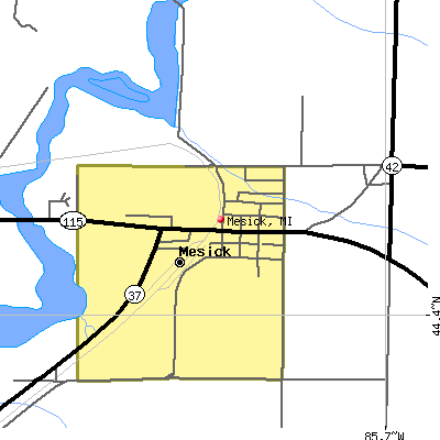 Mesick map