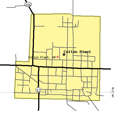 Cotton Plant map