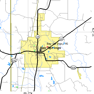 Bay Springs map