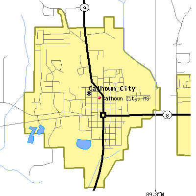 Calhoun City map