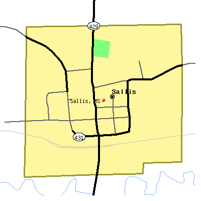 Sallis map