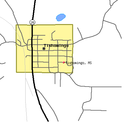Tishomingo map