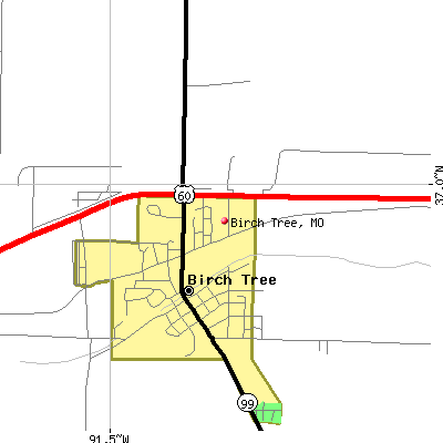 Birch Tree map