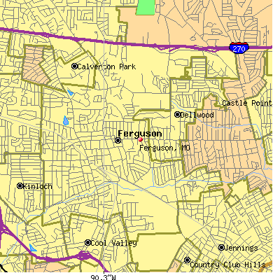 Ferguson map