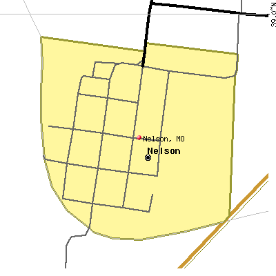 Nelson map