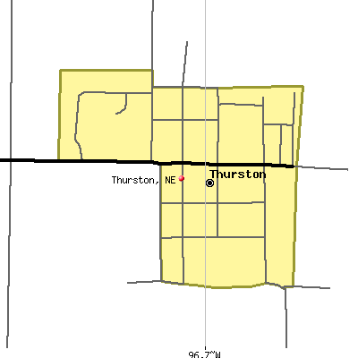 Thurston map