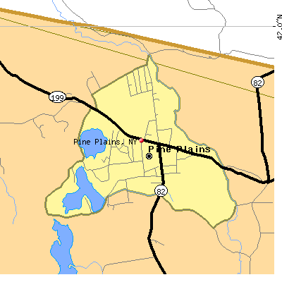 Pine Plains map