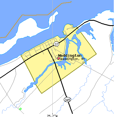 Waddington map