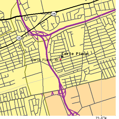 Carle Place map