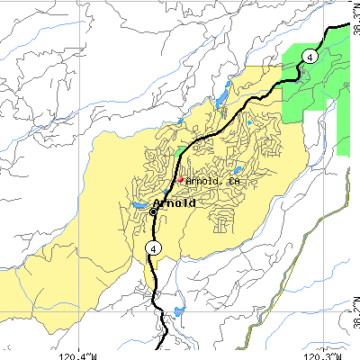 Arnold map