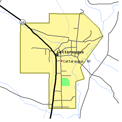 Cattaraugus map