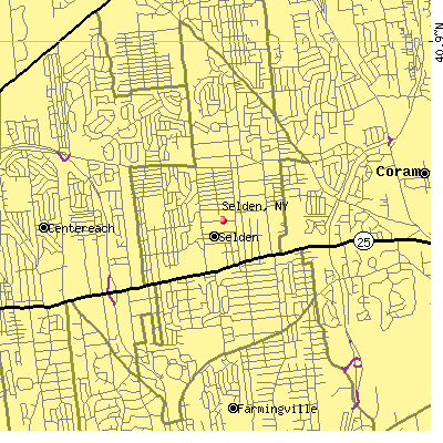 Selden map