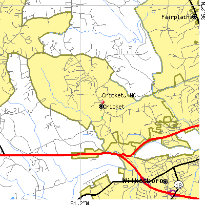 Cricket map