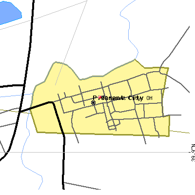 Pleasant City map