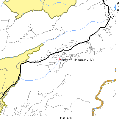 Forest Meadows map