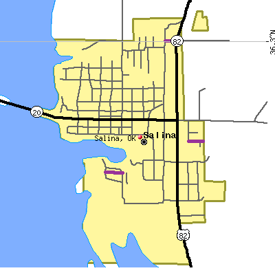 Salina map